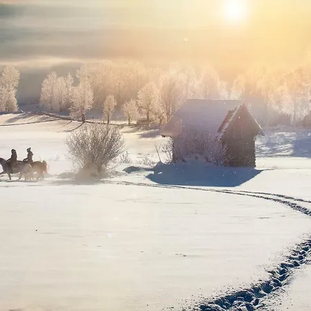 Wiederkehr Frühstückspension 3*